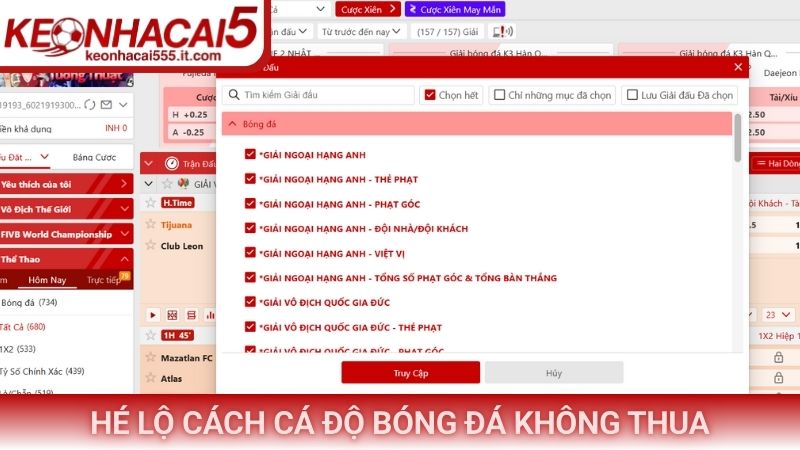 Hé lộ cách cá độ bóng đá không thua
