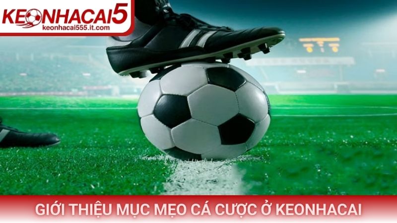 Giới thiệu mục Mẹo cá cược ở Keonhacai