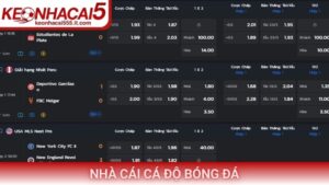 Nhà cái cá độ bóng đá